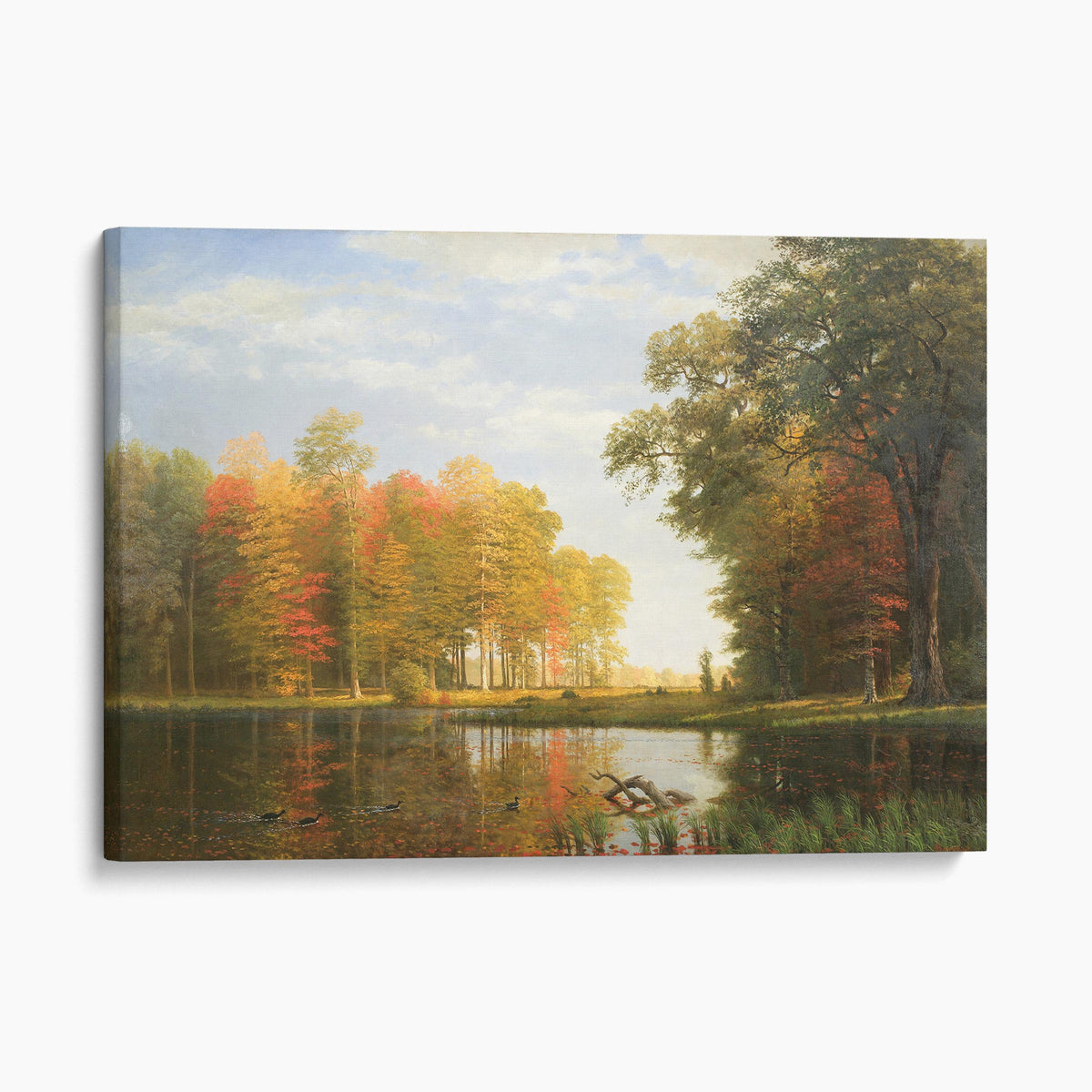 Autumn Woods, 1886 - Albert Bierstadt