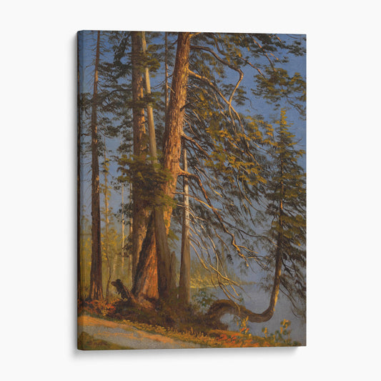 Park at Vancouver, 1889 by Albert Bierstadt