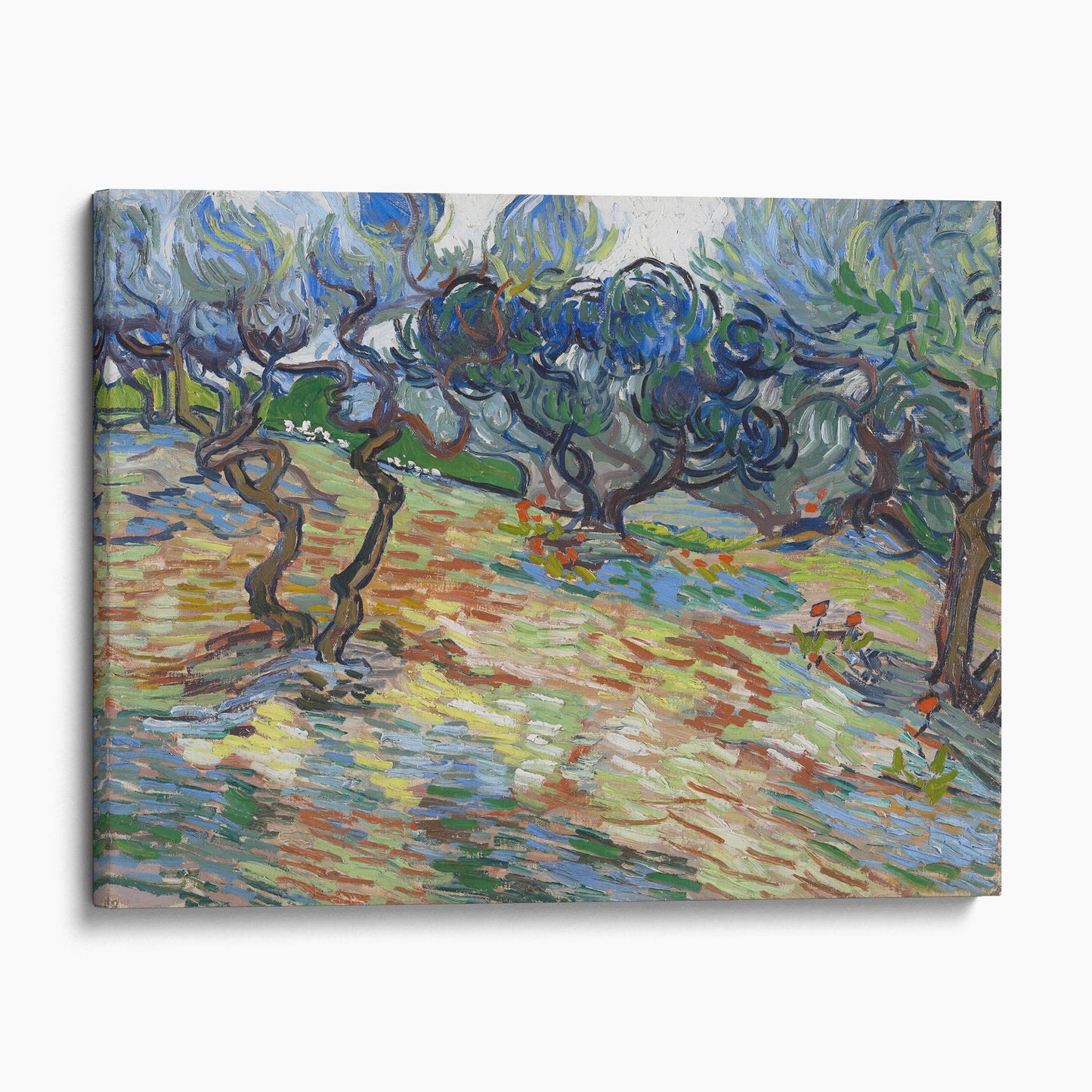 Olive Trees - Van Gogh