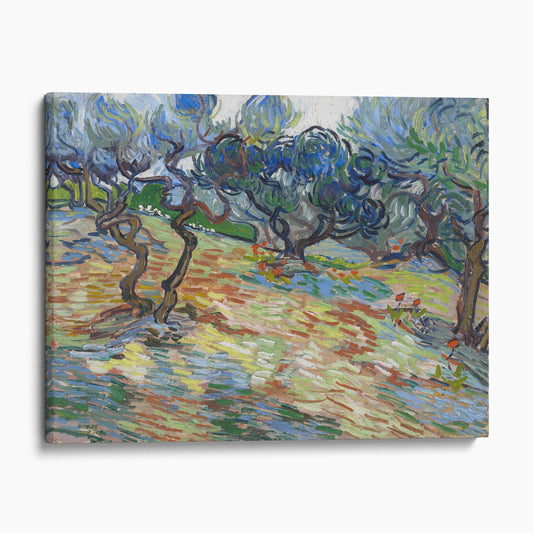 Olive Trees - Van Gogh