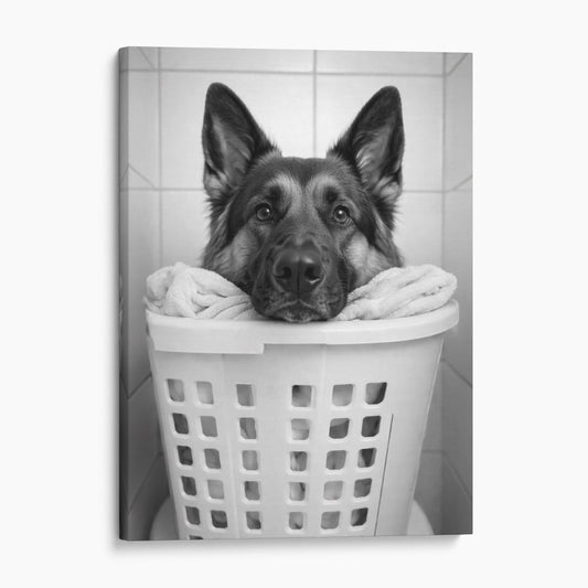 German Shepherd Dog Laundry
