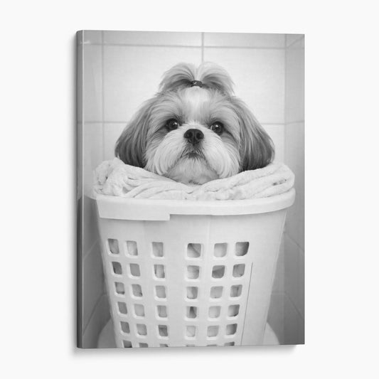 Shih Tzu Dog Laundry