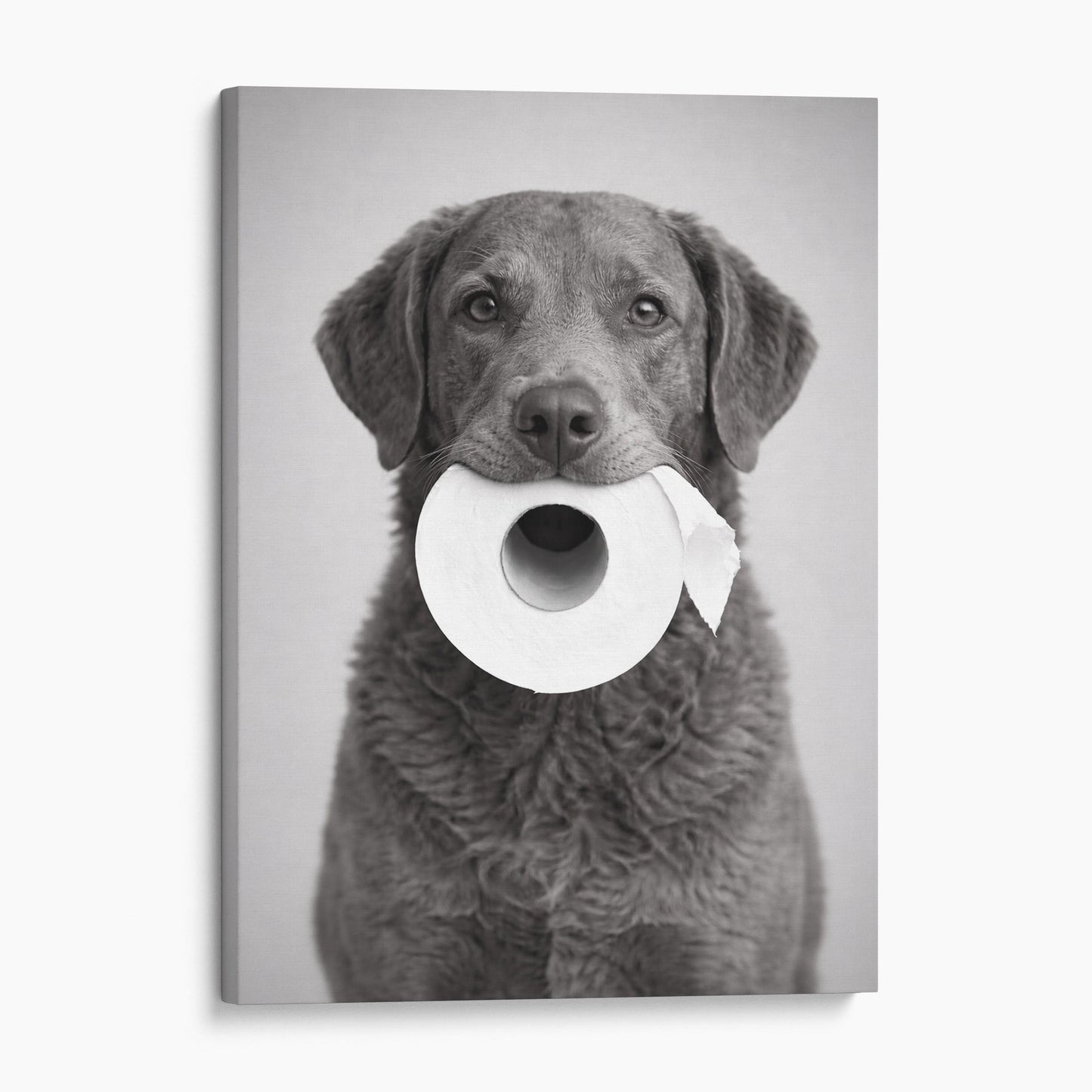 Chesapeake Bay Retriever Dog Toilet Paper