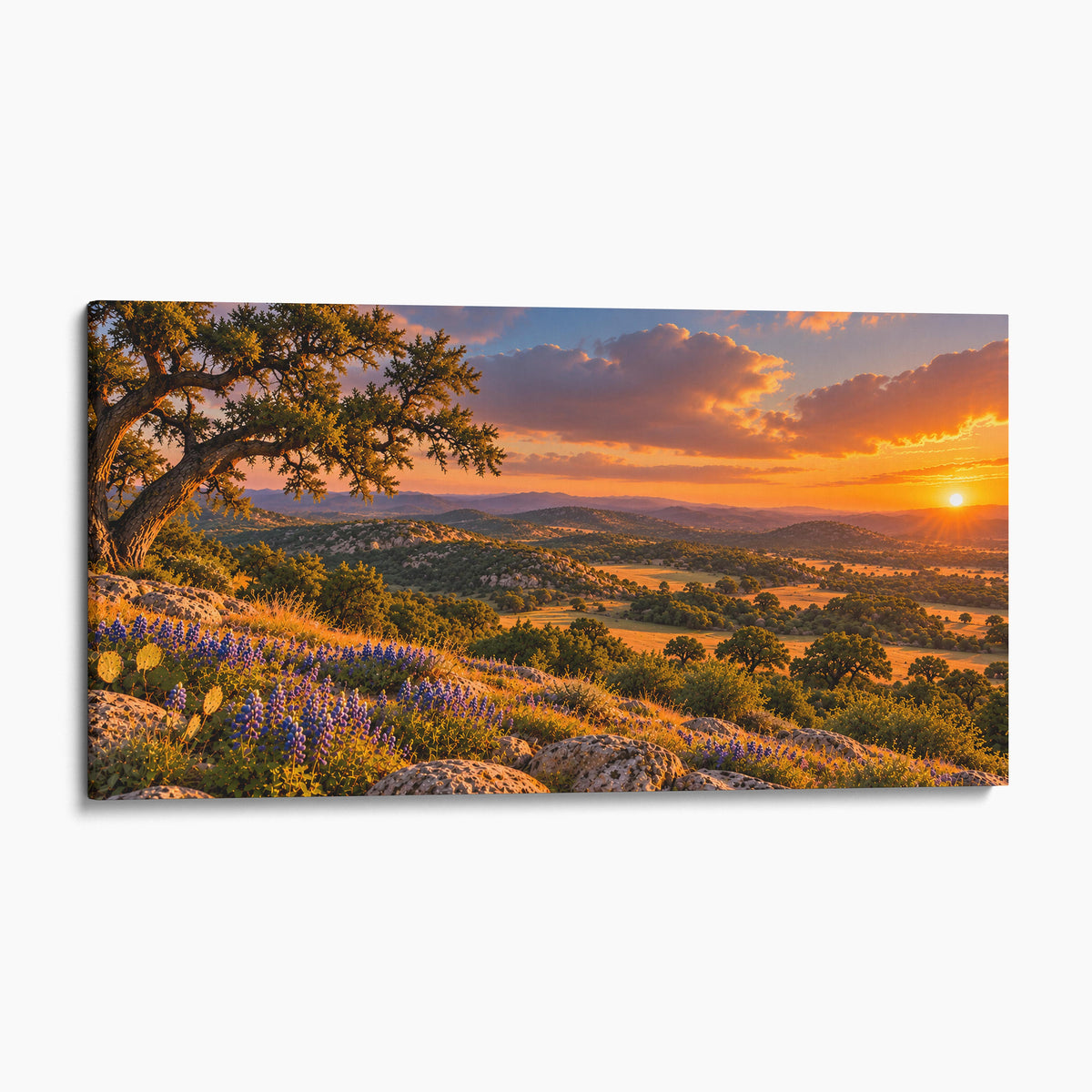 Texas Hill Country Sunset