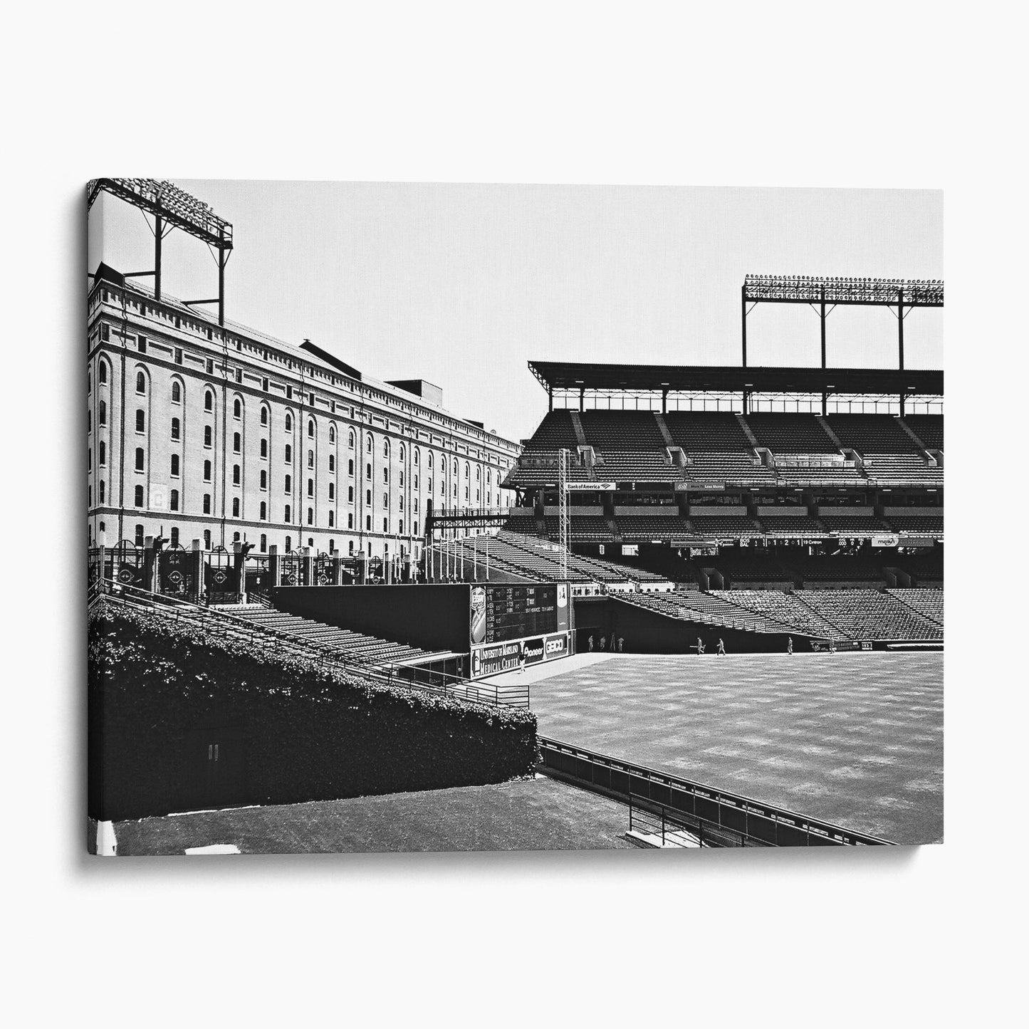 Oriole Park at Camden Yards, Baltimore Orioles