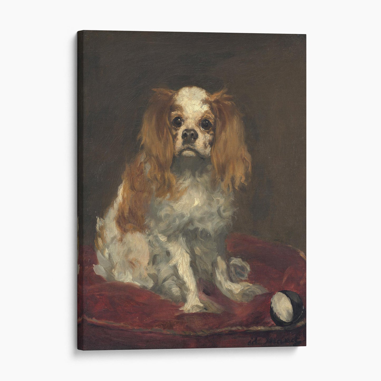 A King Charles Spaniel 1866 - Edouard Manet