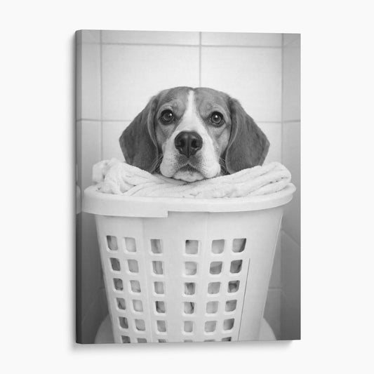 Beagle Dog Laundry
