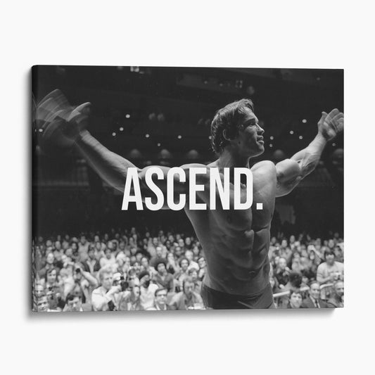 Arnold Schwarzenegger Ascend
