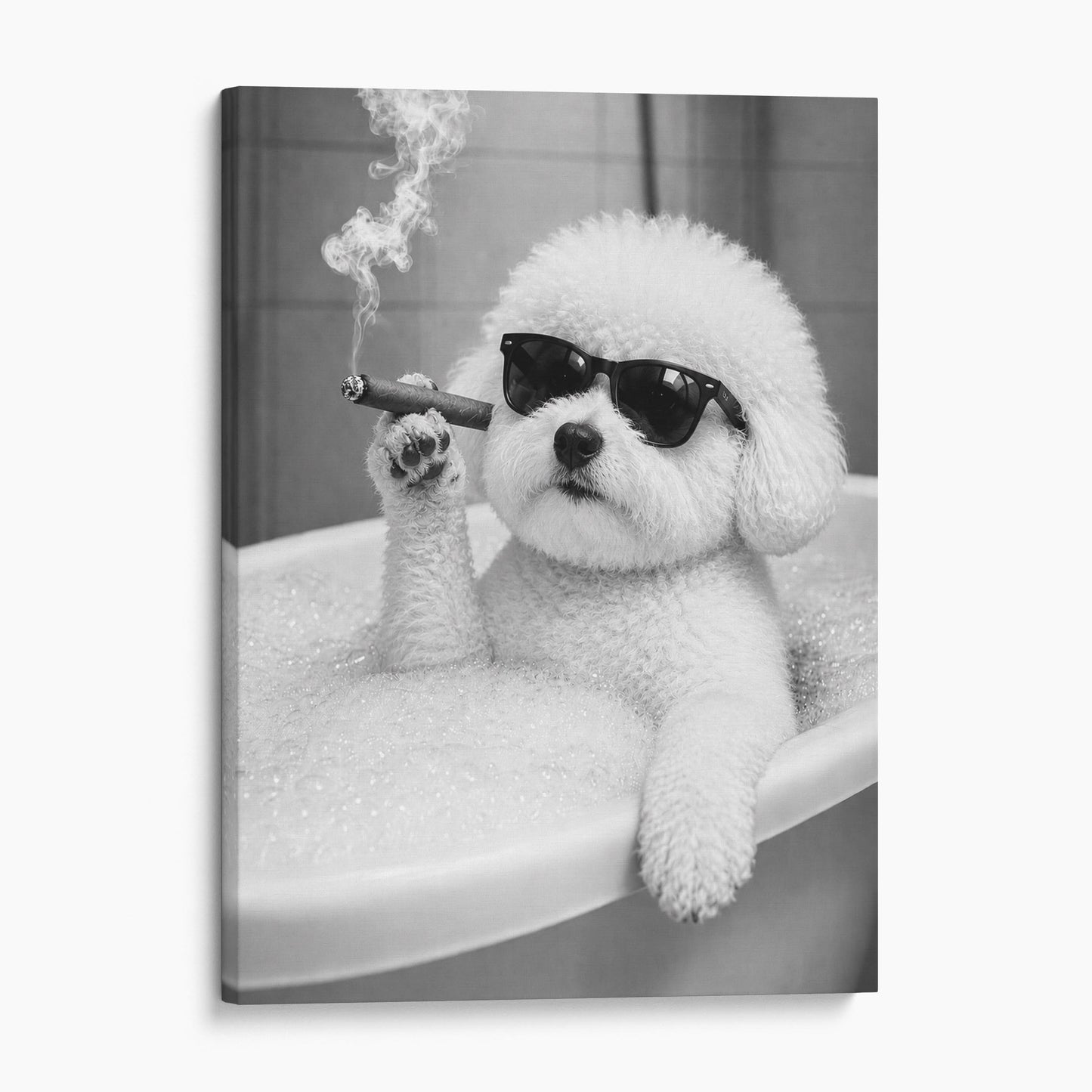 Bichon Frise Dog Bathtub Cigar