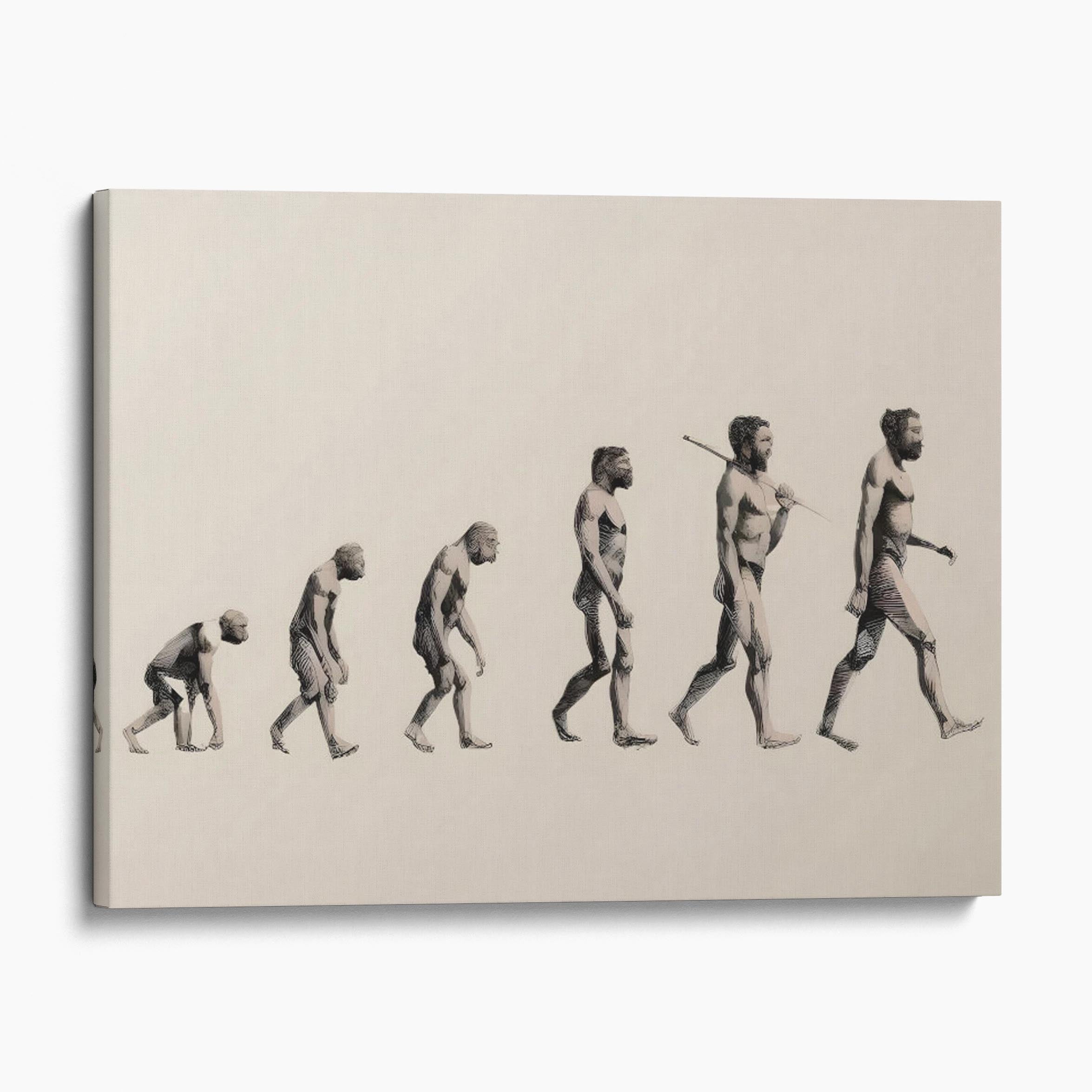 Advancement of Human Evolution - Biology Stages Drawing Canvas Wall Art ...