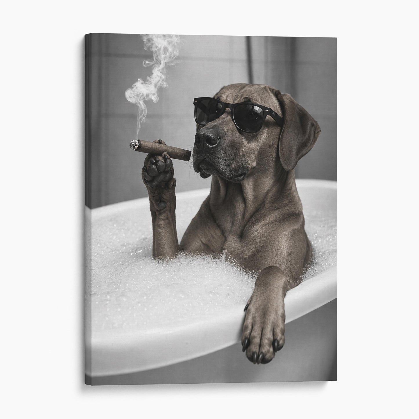 Rhodesian Ridgeback Dog Bathtub Cigar