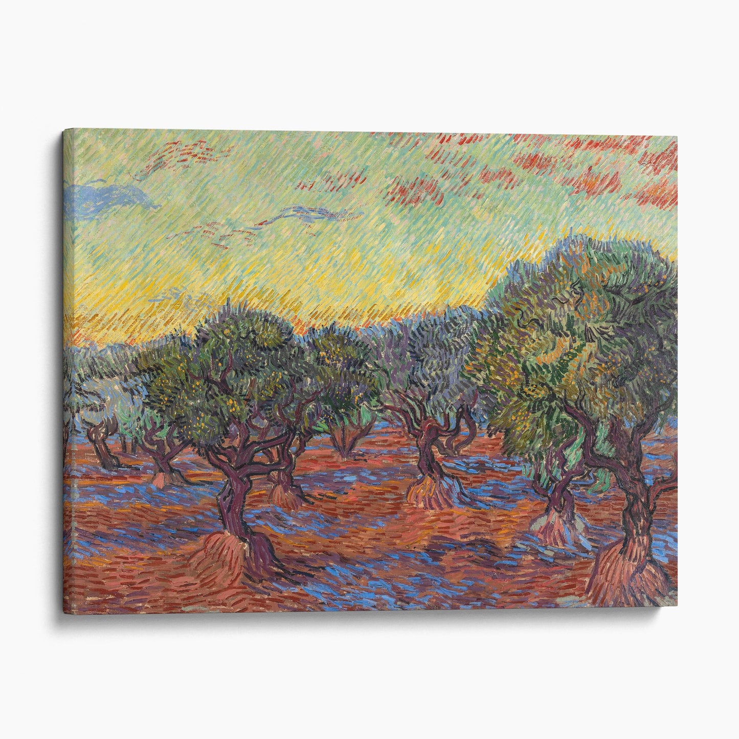 Grove of Olive Trees by Van Gogh