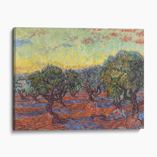 Grove of Olive Trees by Van Gogh