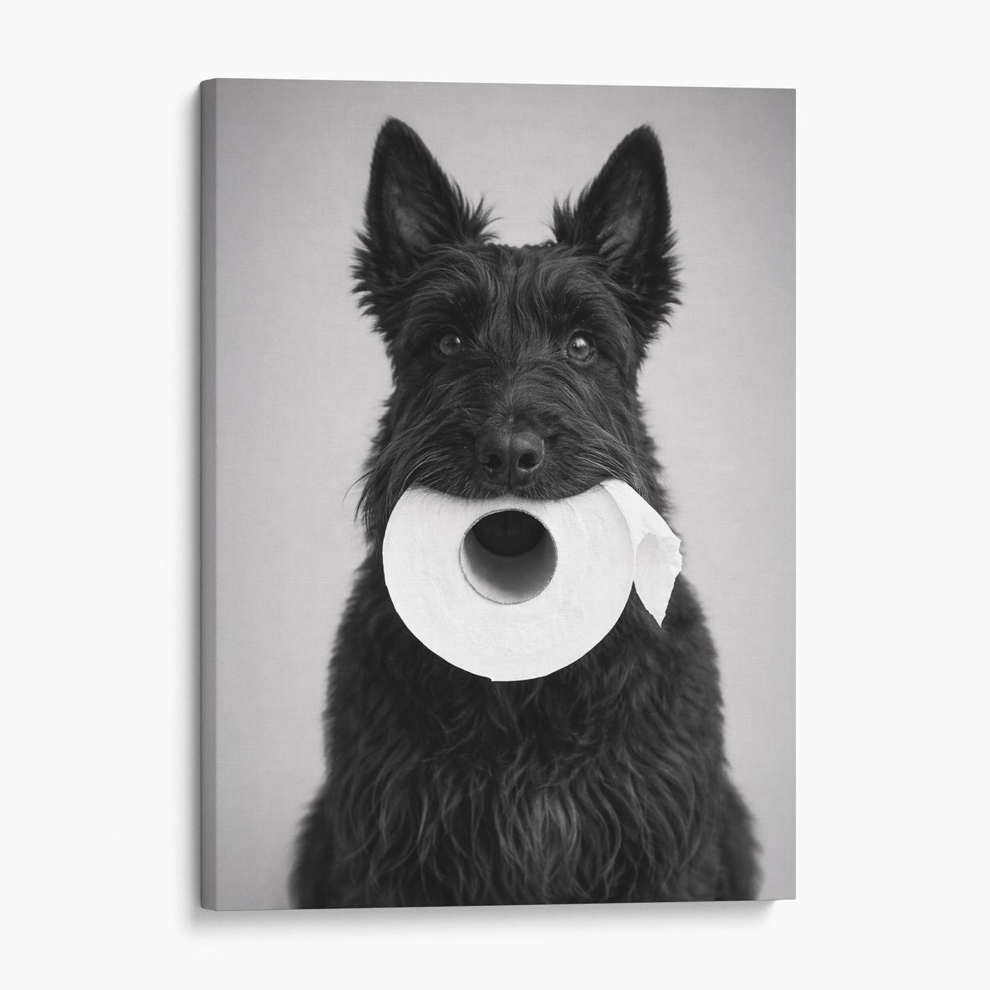 Scottish Terrier Dog Toilet Paper