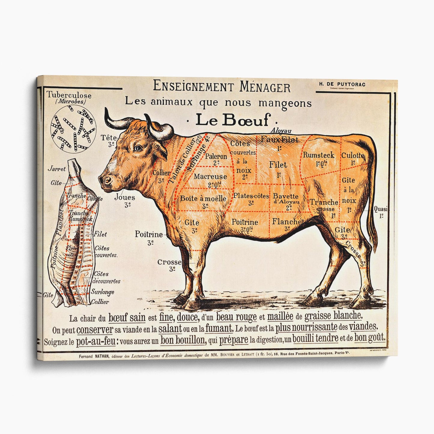 French School - Beef Diagram