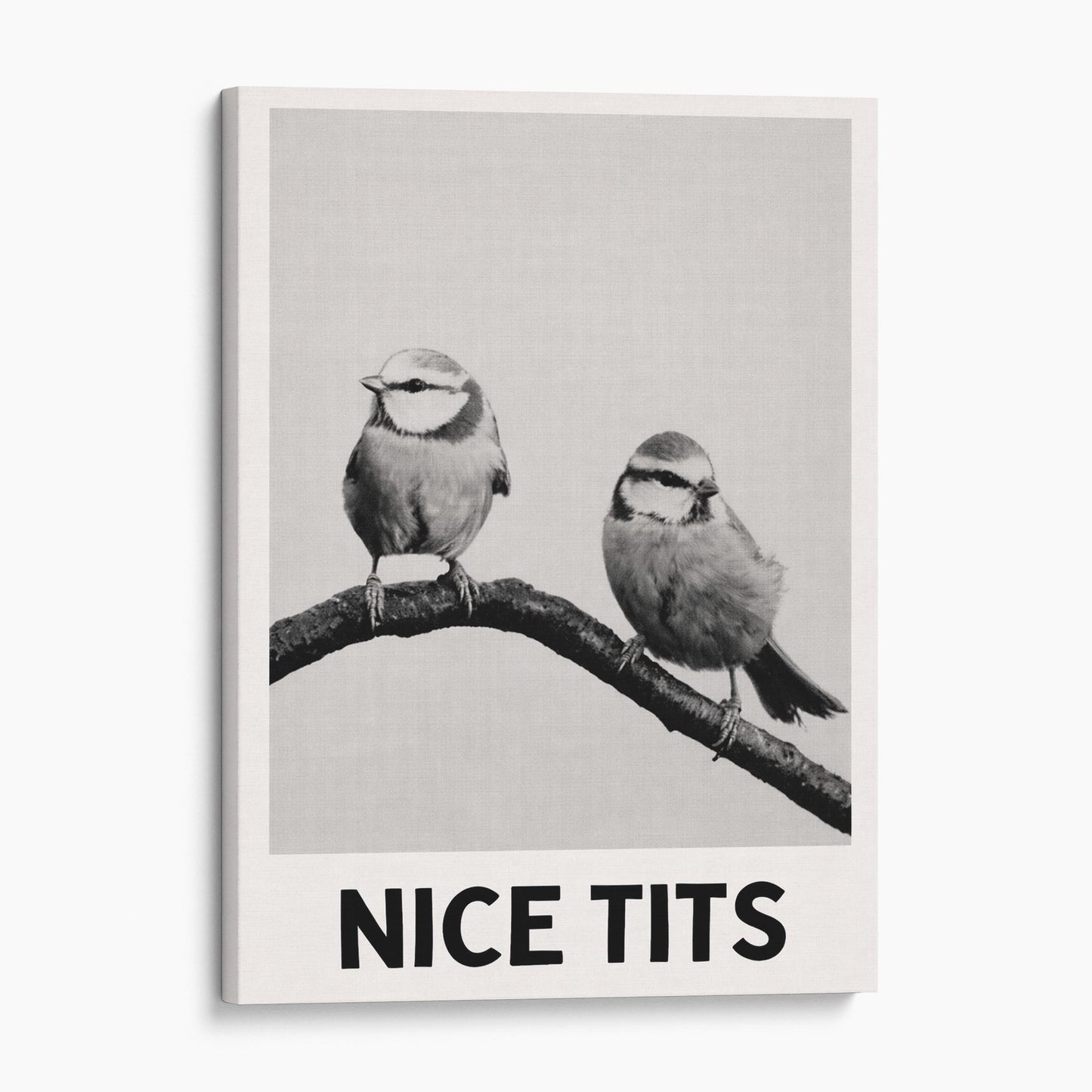 Nice Tits - Birds Bathroom Sign