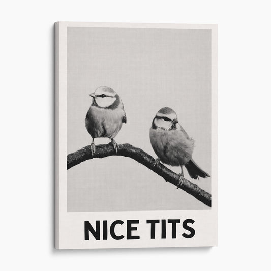 Nice Tits - Birds Bathroom Sign