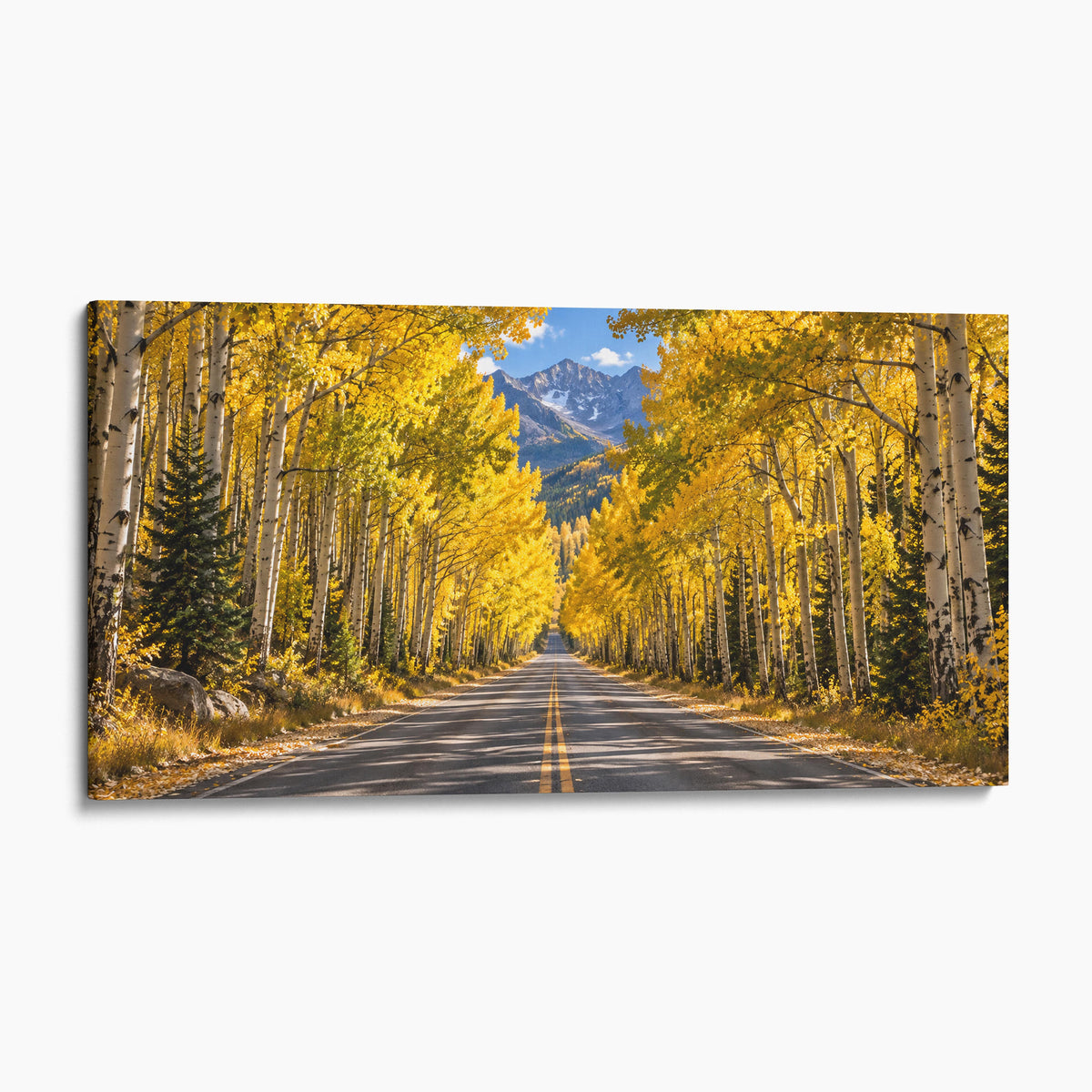 Colorado - Aspen Tunnel