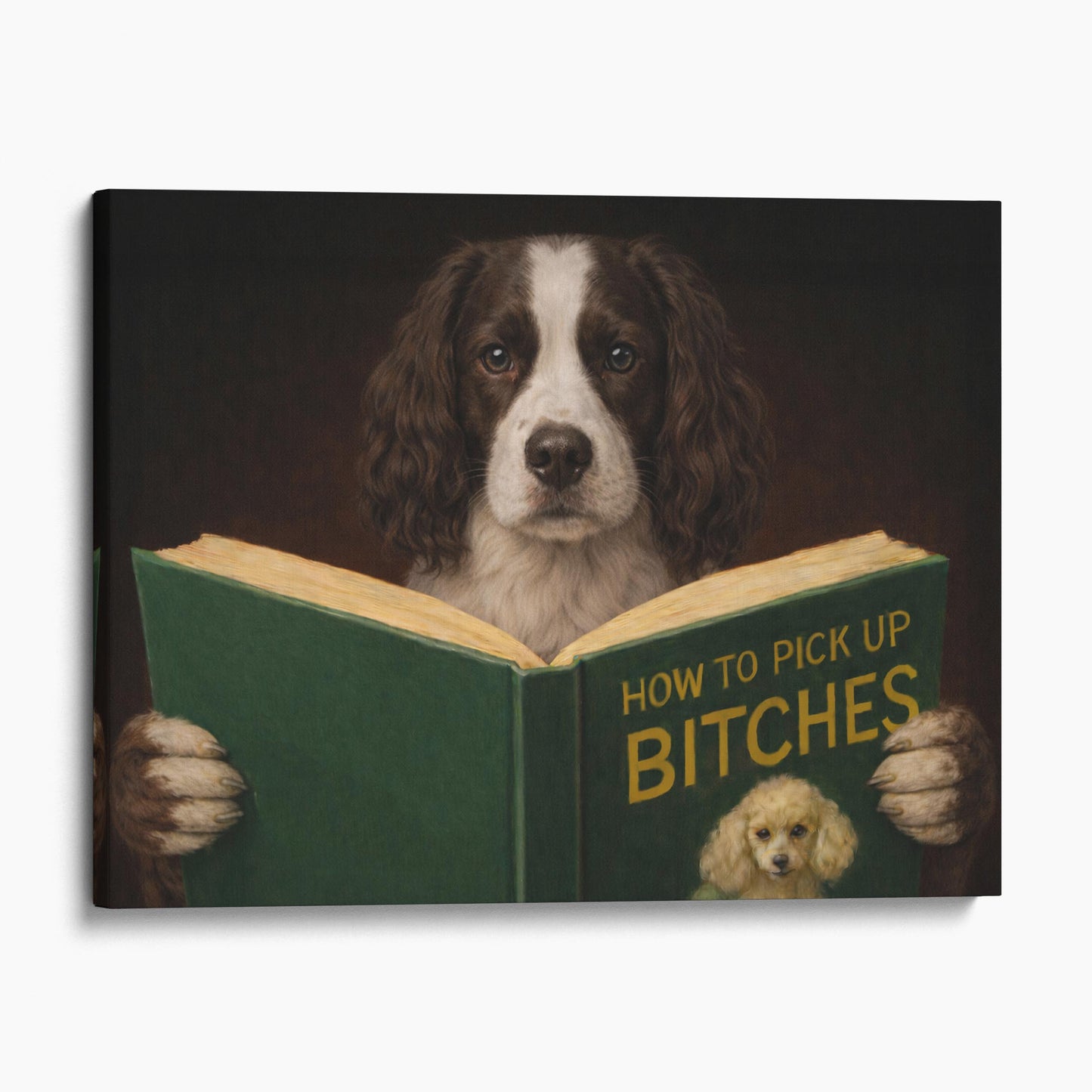 English Springer Spaniel Dog Reading Dating Book