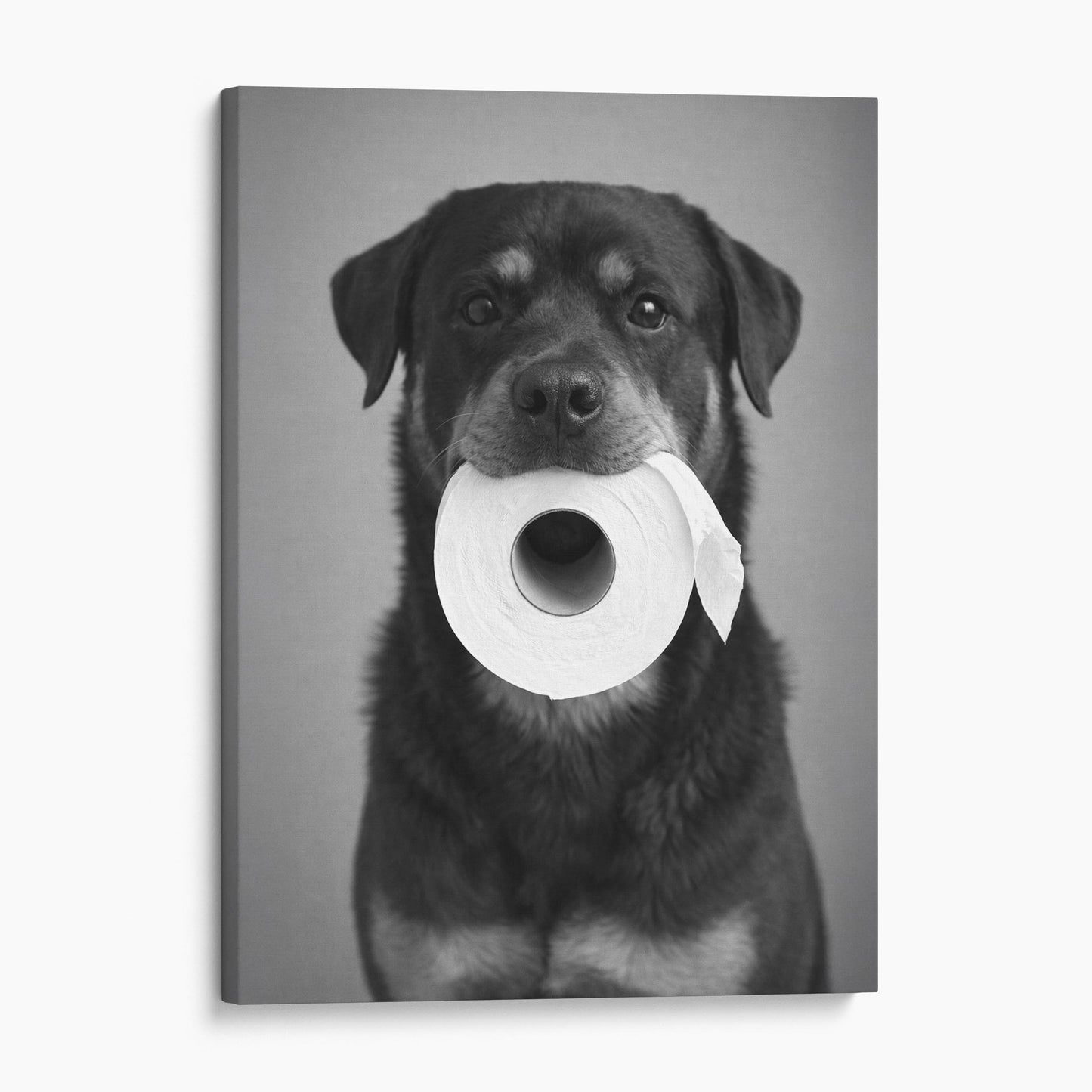 Rottweiler Dog Toilet Paper