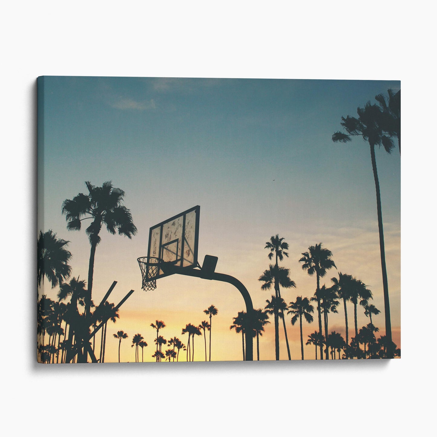 Basketball Sunset Palm Trees