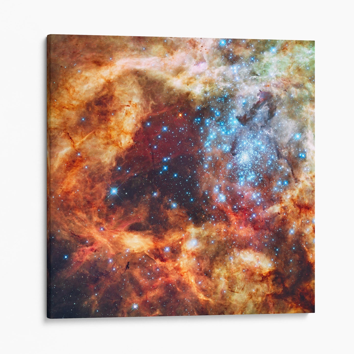 R136 Star Cluster (NASA Hubble Space Telescope)