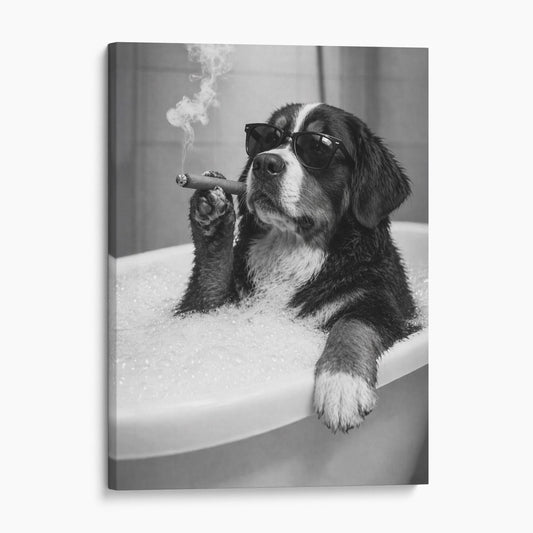 Bernese Mountain Dog Bathtub Cigar