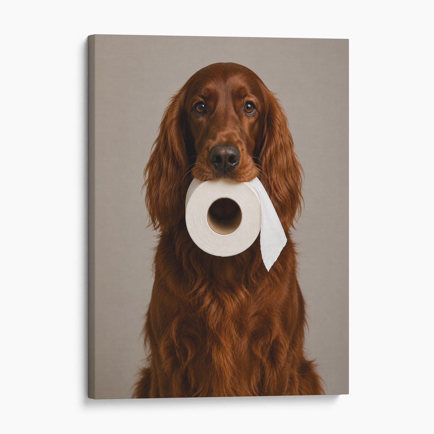 Irish Setter Dog Toilet Paper