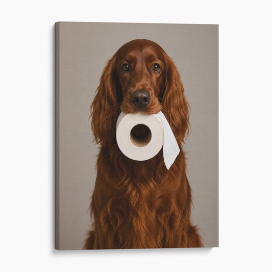 Irish Setter Dog Toilet Paper