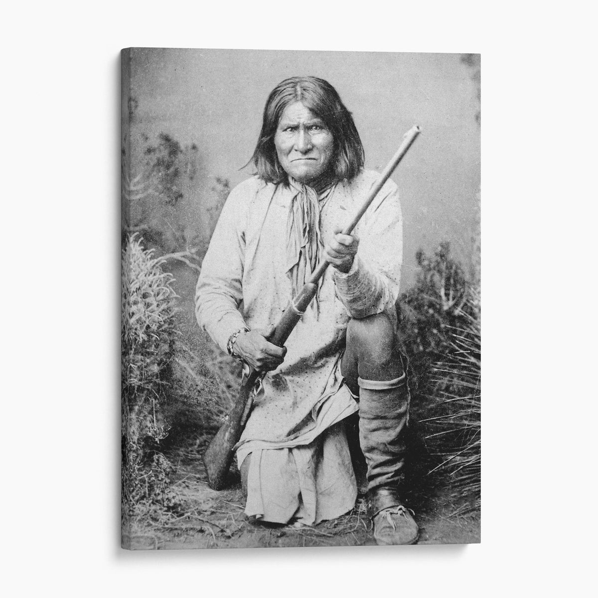 Geronimo, 1887