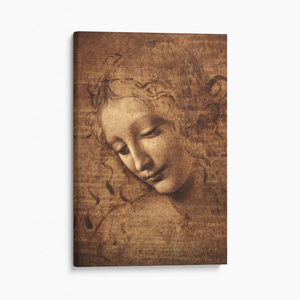 La Scapigliata by Leonardo da Vinci