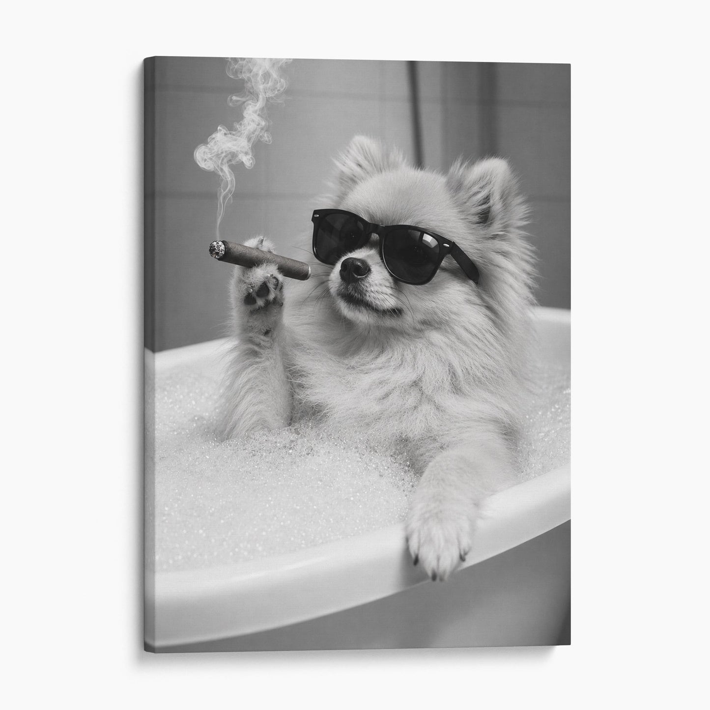 Pomeranian Dog Bathtub Cigar