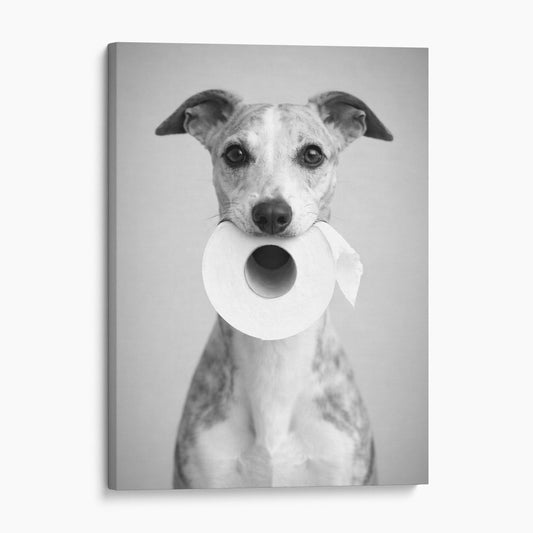Whippet Dog Toilet Paper