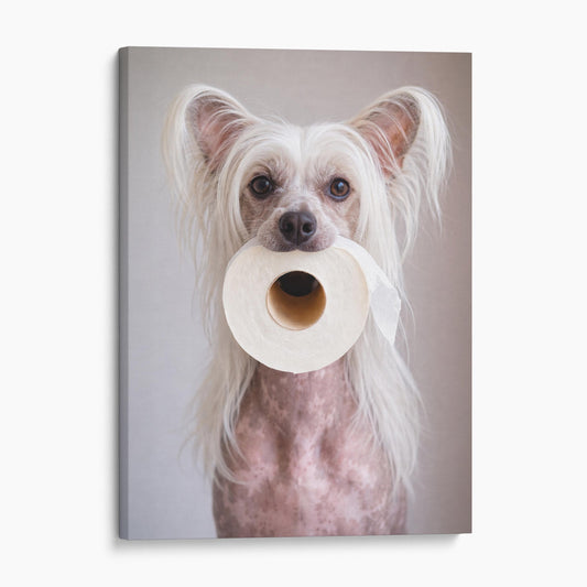 Chinese Crested Dog Toilet Paper