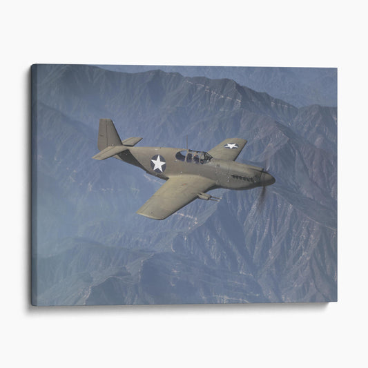 P51 Mustang Fighter Plane, World War Two