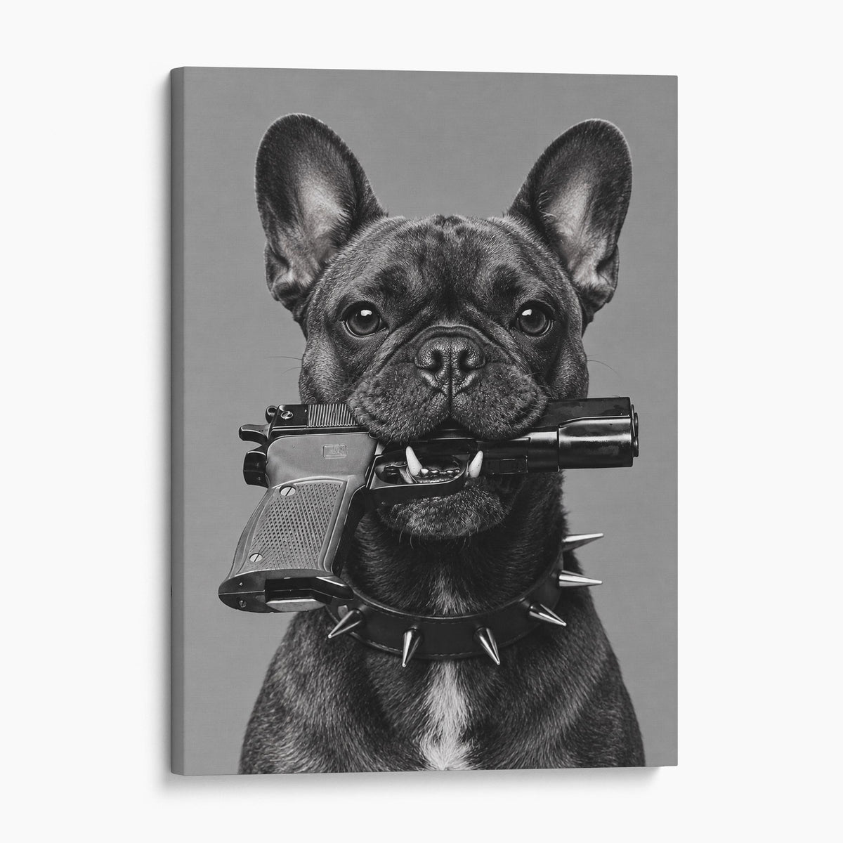 French Bulldog Gun In Mouth