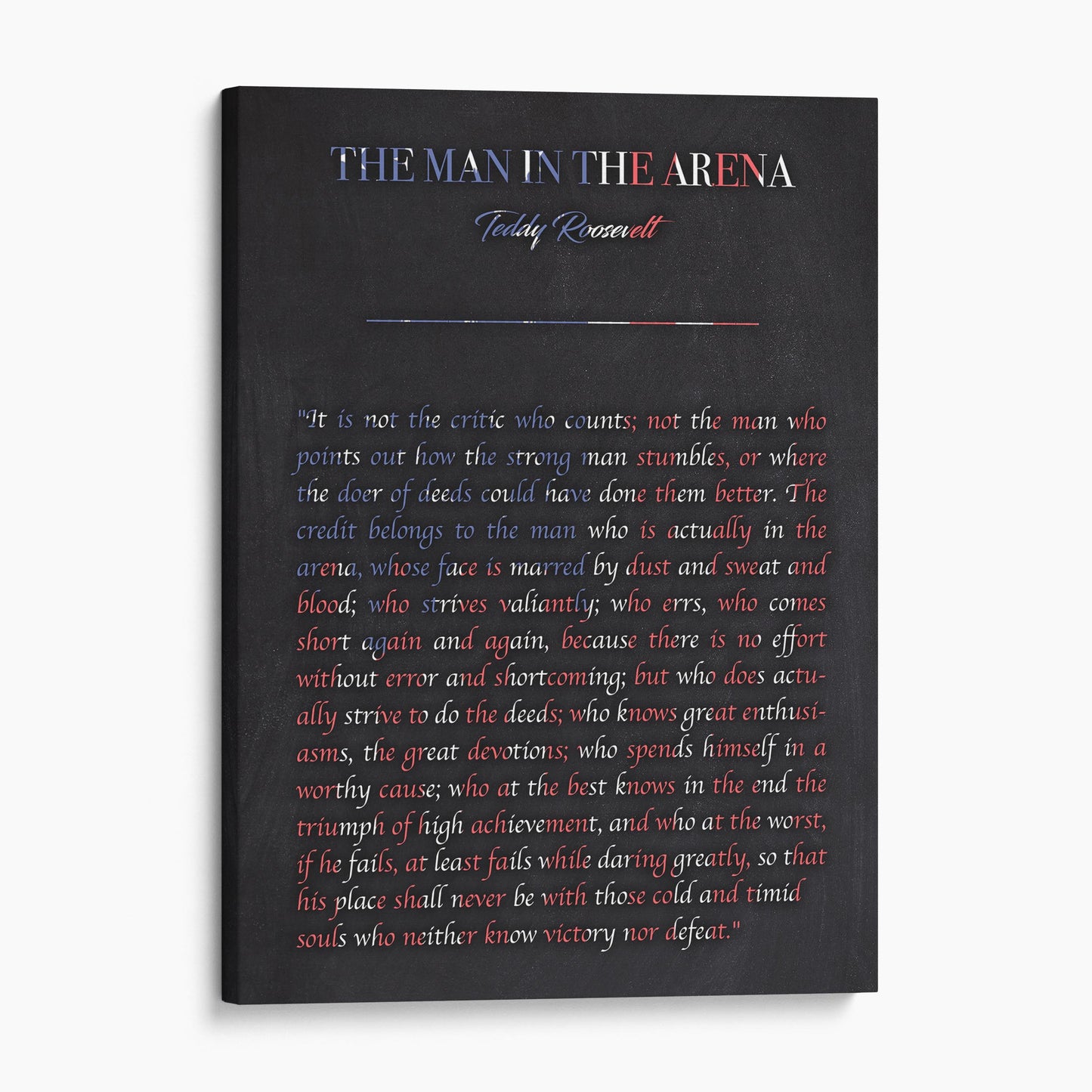 The Man In The Arena USA - Teddy Roosevelt