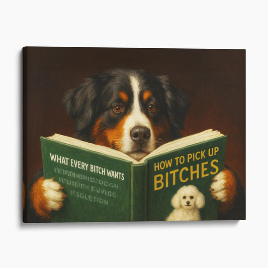 Bernese Mountain Dog Reading Dating Book