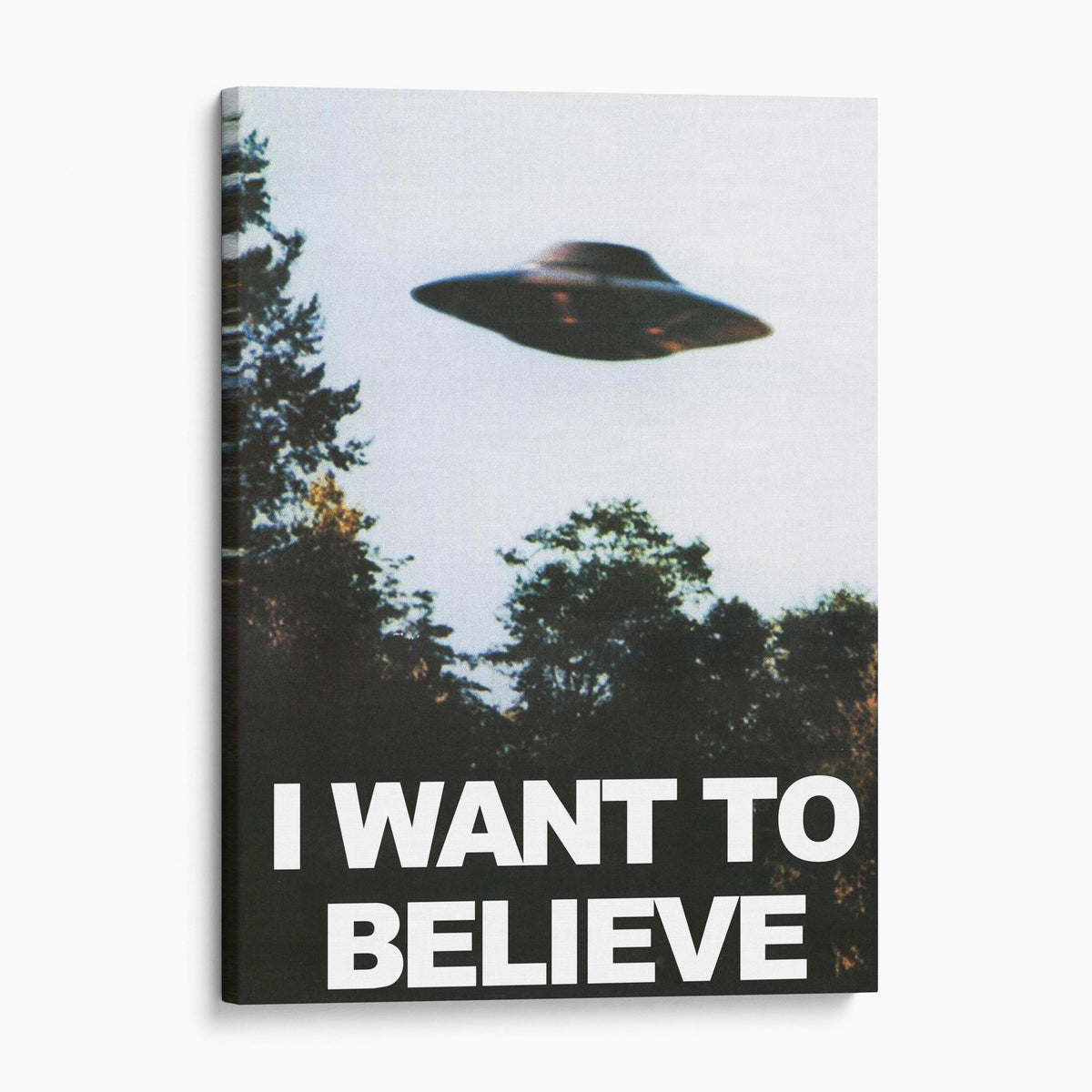 I Want To Believe UFO Poster