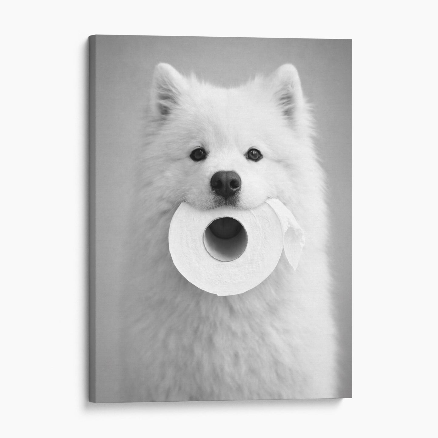 Samoyed Dog Toilet Paper