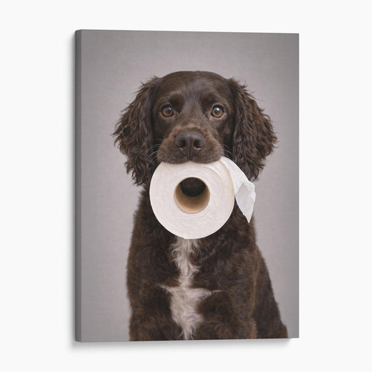 Boykin Spaniel Dog Toilet Paper