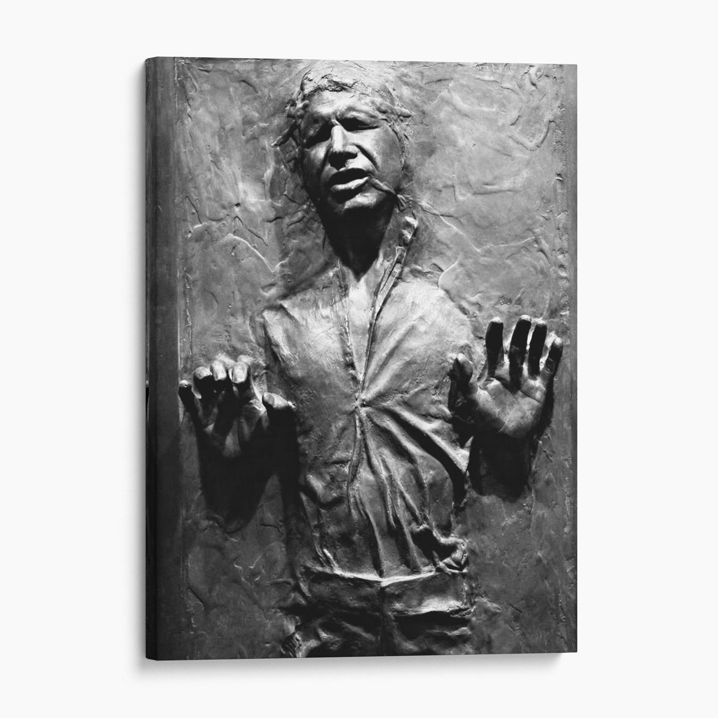 Han Solo In Carbonite