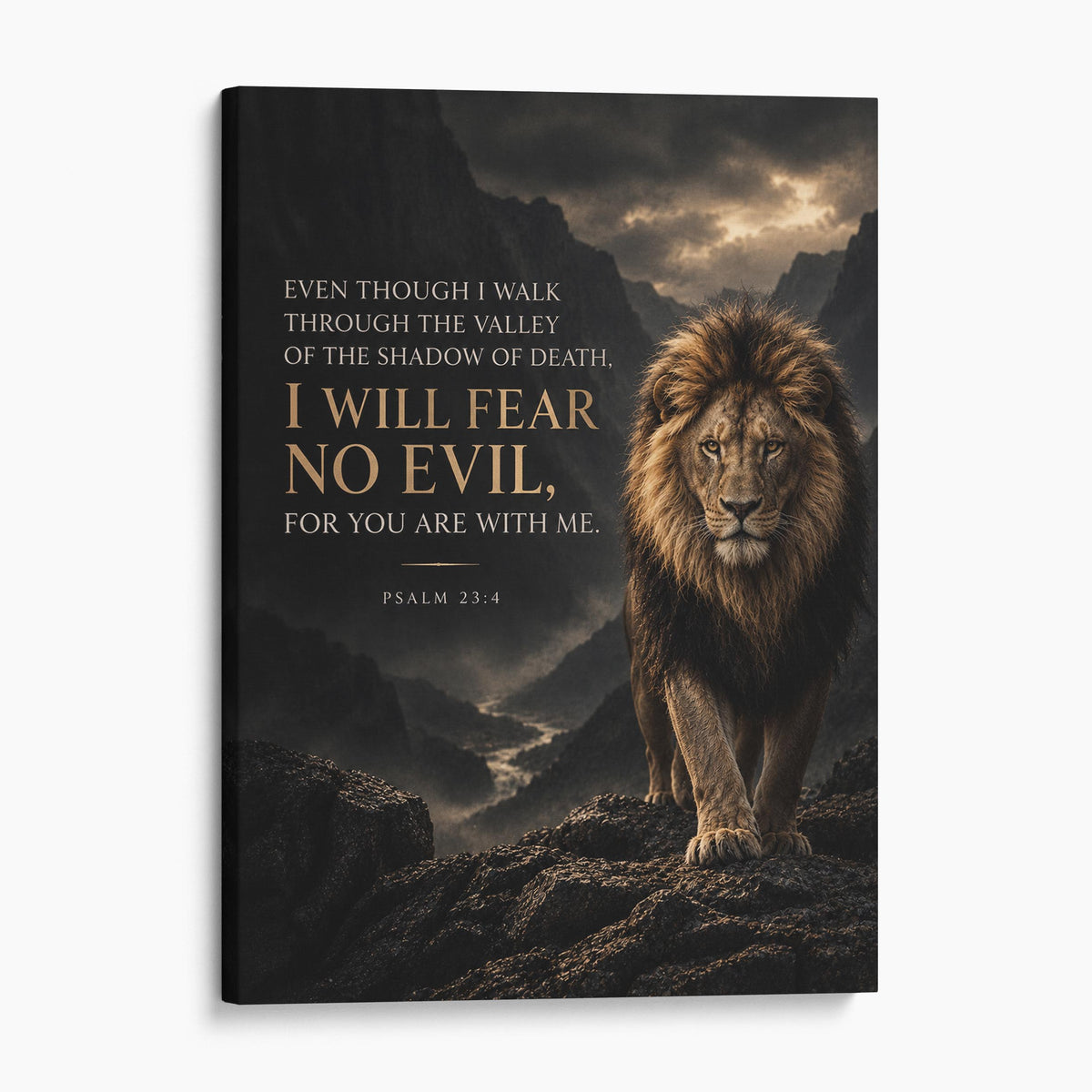 I Will Fear No Evil, For You Are With Me - Psalm 23 Verse 4