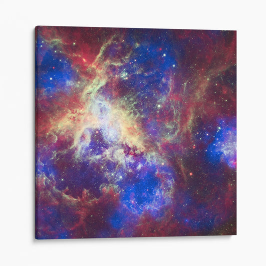 Tarantula Nebula (Spitzer Space Observatory)