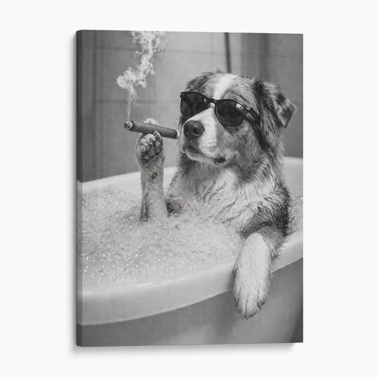 Australian Shepherd Dog Bathtub Cigar