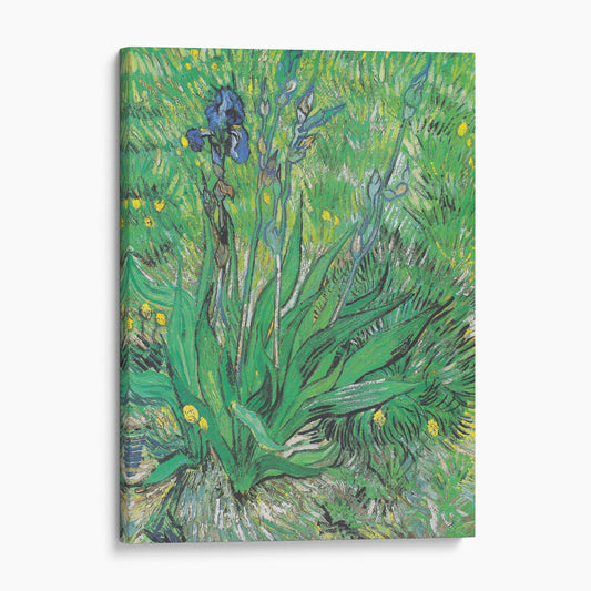 Iris 1889 - Van Gogh