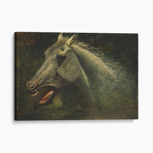 A Wild Stallion by Albert Bierstadt