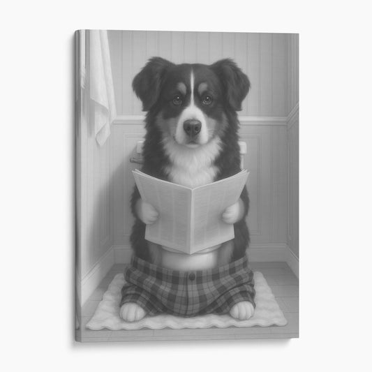 Bernese Mountain Dog Reading The Newspaper On The Toilet