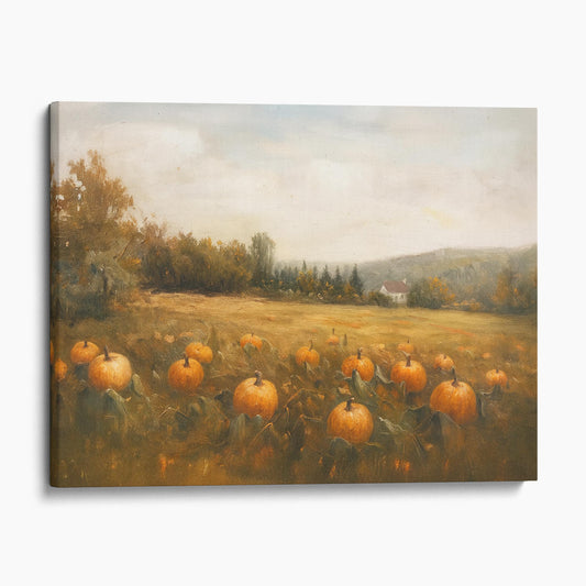 Pumpkin Field Landscape
