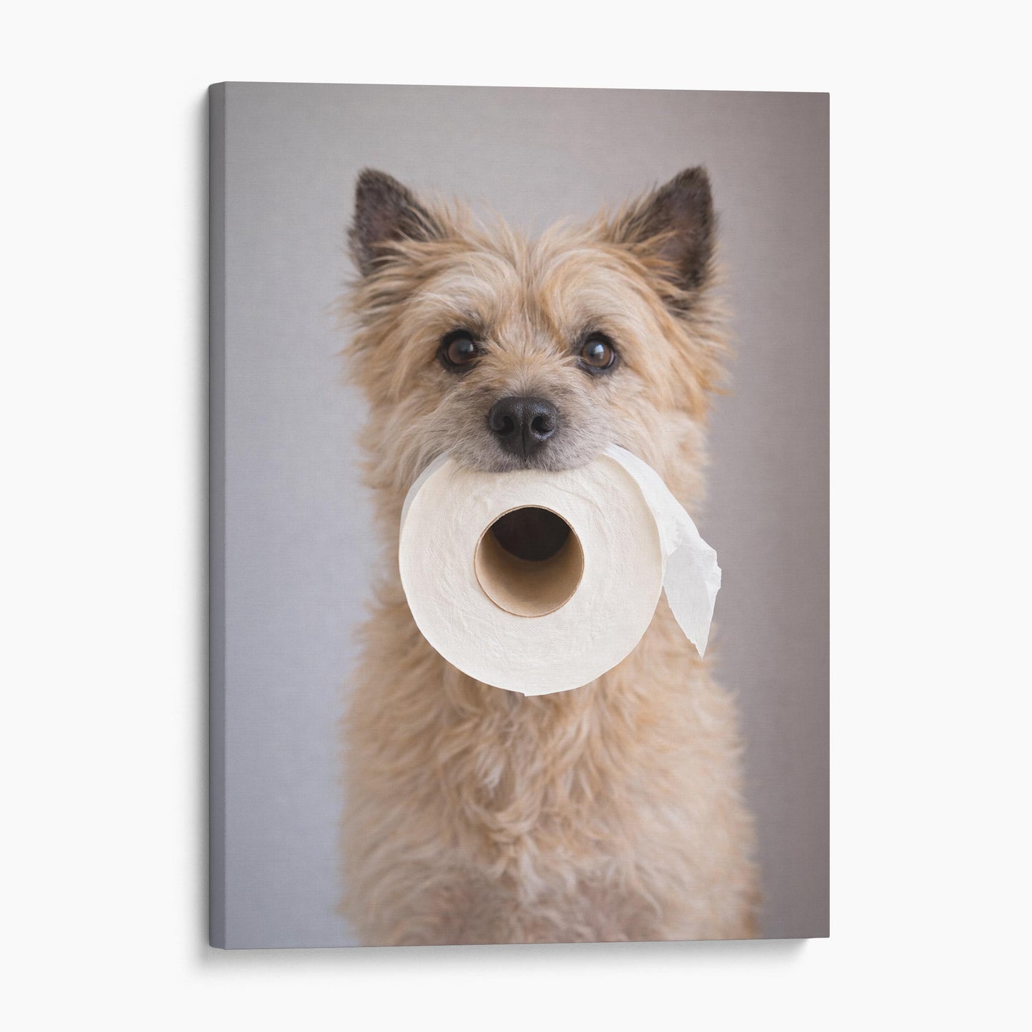 Cairn Terrier Dog Toilet Paper